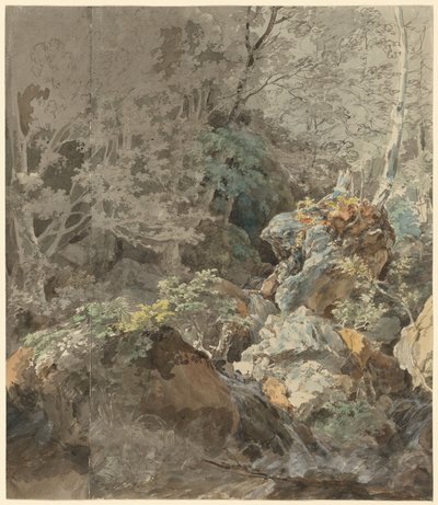 Watervallen in een bergbos, 1797 door Johann Georg von Dillis