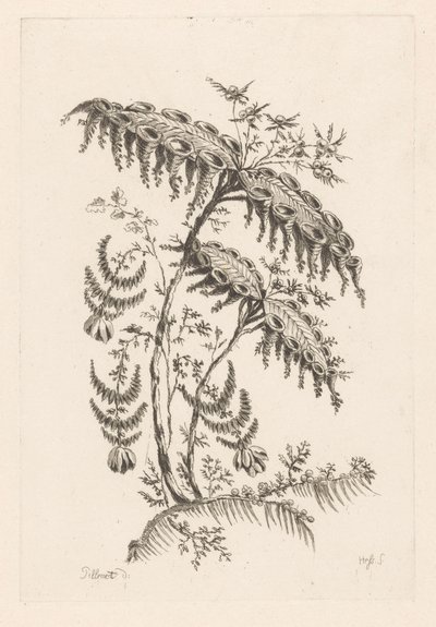 Bladeren met hoornvormen door Johann Heinrich  Hess