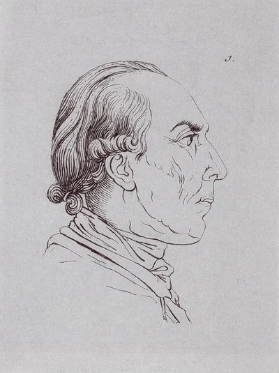 HUBrennwaldi door Johann Heinrich Lips