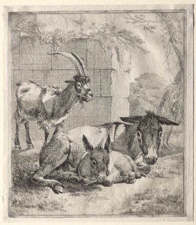 Geit en ezels door Johann Heinrich Roos