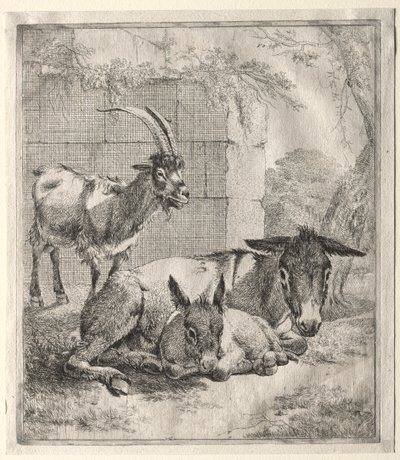 Geit en ezels door Johann Heinrich Roos