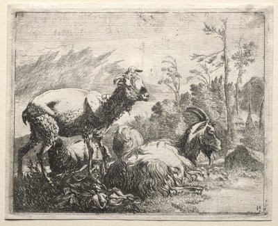 Geiten, 1665 door Johann Heinrich Roos