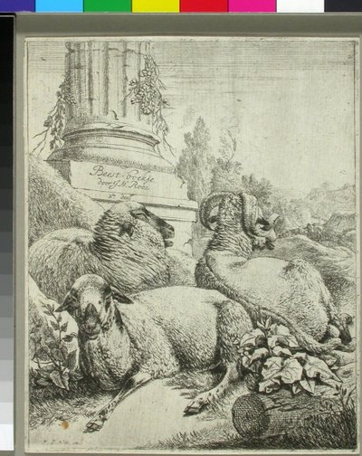  door Johann Heinrich Roos