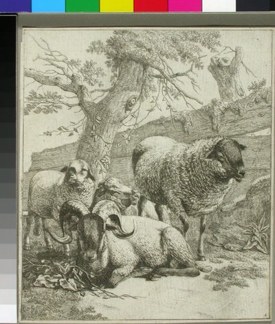 Ohne Titel door Johann Heinrich Roos