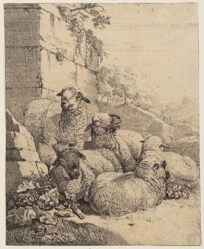  door Johann Heinrich Roos