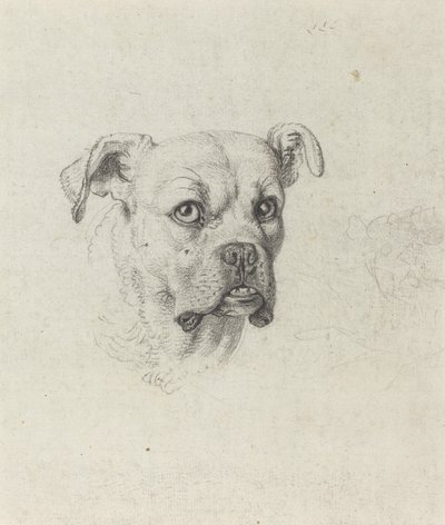 Een Bokser door Johann Heinrich Wilhelm Tischbein