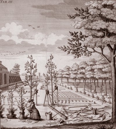 Illustratie van een tuinscène, 1753 door Johann Hermann Knoop