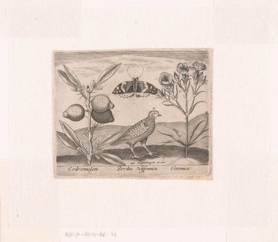 Serie prenten met bloemen en dieren in een landschap door Johann Hogenberg