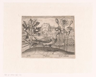 Serie prenten met bloemen en dieren in een landschap door Johann Hogenberg