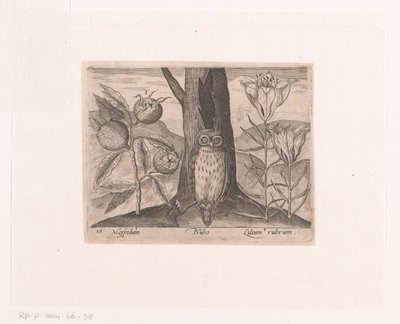 Serie prenten met bloemen en dieren in een landschap door Johann Hogenberg