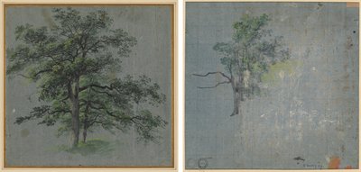 Twee bomen (recto) Boomstudies (verso) door Johann Jacob Dorner
