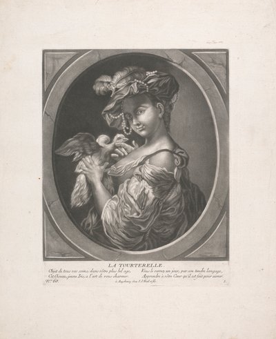 De tortelduif door Johann Jacobus Haid