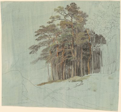 Een Studie van Pijnbomen door Johann Jakob Dorner the younger