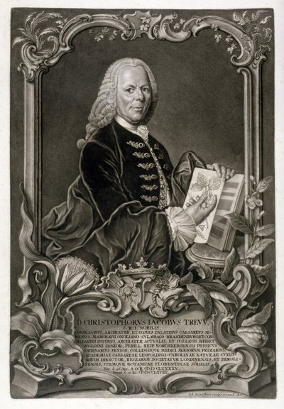 C. J. Trew, Botanicus, uitgegeven c.1768 door Johann Jakob Haid