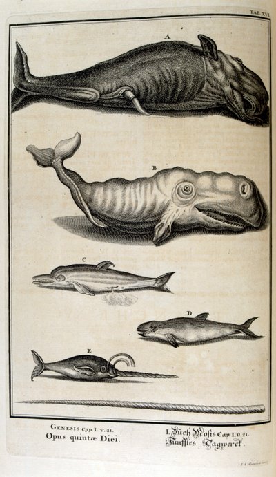 Kopergravure uit 
