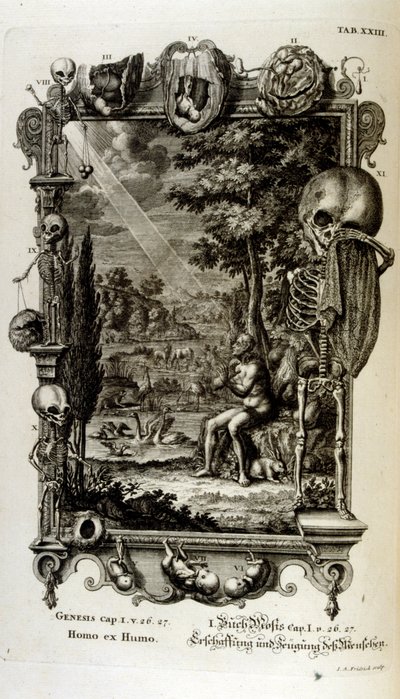 Kopergravure uit 