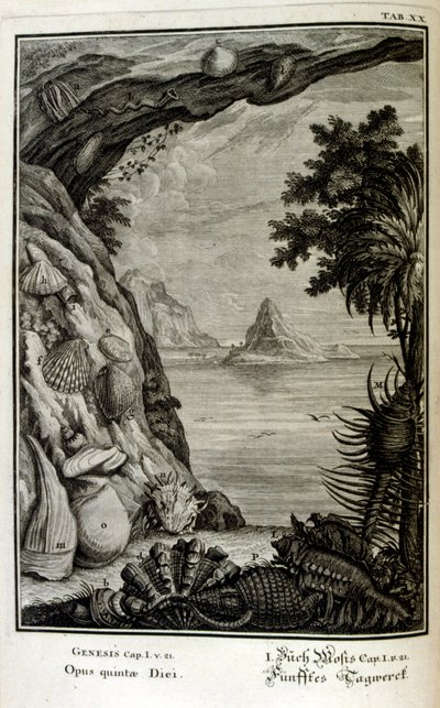 Kopergravure uit 