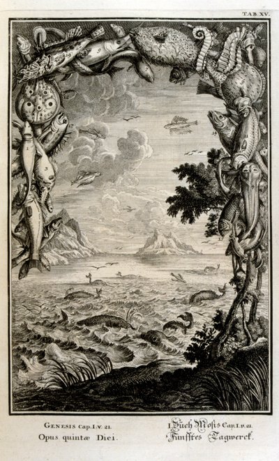 Kopergravure uit 