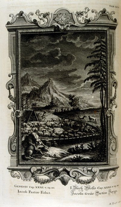 Jacobs velden door Johann Jakob Scheuchzer