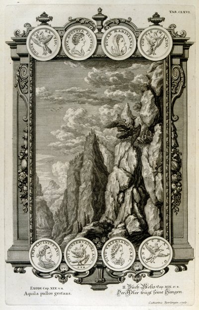 Zeus gesymboliseerd als een adelaar door Johann Jakob Scheuchzer