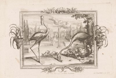 Twee flamingo