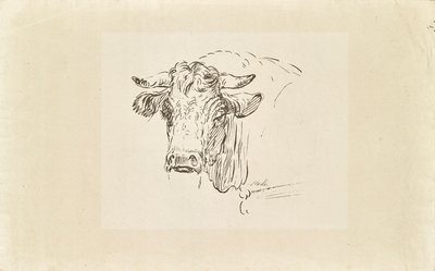 Stierenkop door Johann Josef Schindler