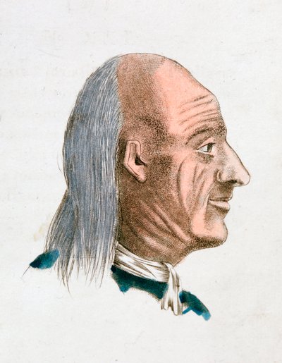De gelaatstrekken van een joviaal en vriendelijk persoon, 1808 door Johann Kaspar Lavater