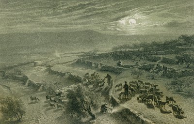 De Vallei van de Herders in Bethlehem. Ets door Bernatz et alii - Steinkopk J.F. Editore door Johann Martin Bernatz