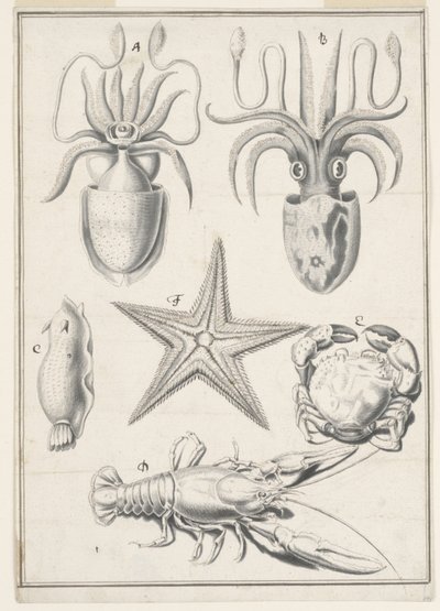 Vijfde dag werk door Johann Melchior Füssli