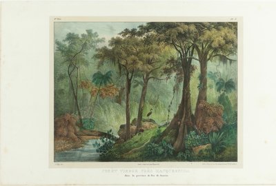 Oerwoud bij Manqueritipa. Uit Malerische Reise in Brasilien, 1835 door Johann Moritz Rugendas