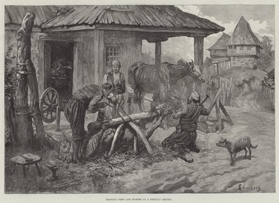 Schoenen van ossen en paarden bij een Servische smidse door Johann Nepomuk Schonberg