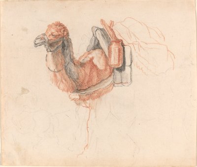 Kameel door Johann Rudolph Schellenberg