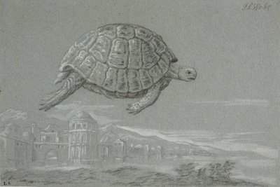 Studie van een schildpad, en uitzicht op een versterkte stad aan zee (Venetië) door Johann Salomon Wahl