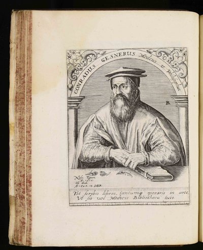 Conrad Gessner door Johann Theodor de Bry