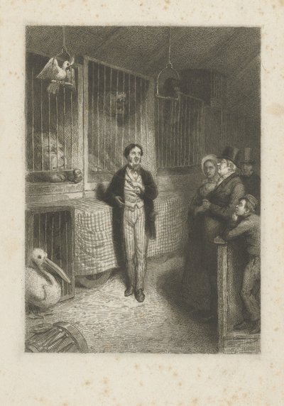 Dieren kijken door Johann Wilhelm Kaiser (I)