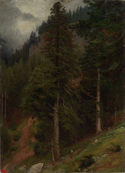 Helling in het dennenbos door Johann Wilhelm Schirmer