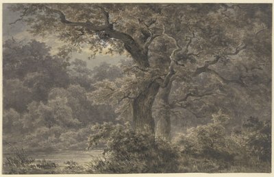  door Johann Wilhelm Schirmer