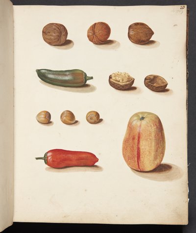 Studie van appel, noten en paprika