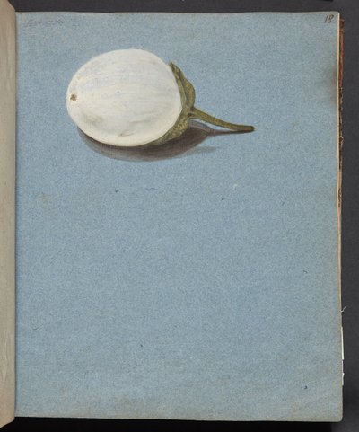 Studie van bessen door Johanna Fosie