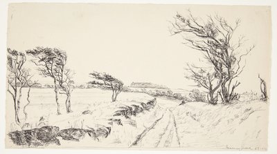 Landschap Breininggaard door Johanne Krebs