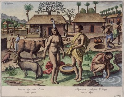 Leven in Goa, illustratie uit 
