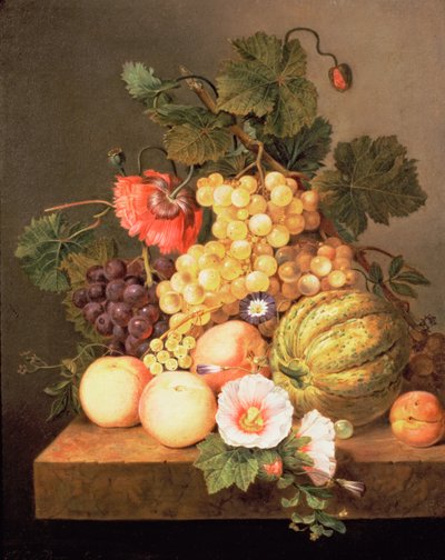 Stilleven met fruit door Johannes Cornelis Bruyn