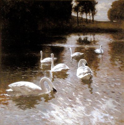 Zwanen op een meer, ca. 1890 door Johannes Cornelis van Essen