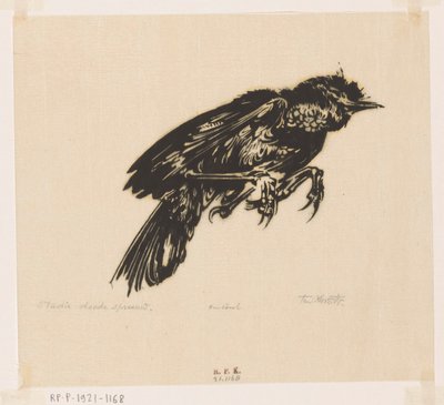 Dode spreeuw door Johannes Frederik Engelbert ten Klooster (signed by artist)
