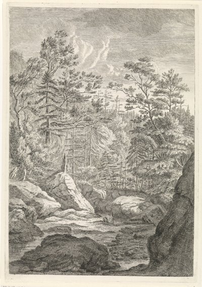 Ravijn met bomen en een beekje door Johannes Glauber