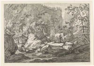 Ravijn met rotsblokken en bomen door Johannes Glauber