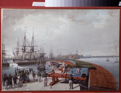 Zicht op Reval (huidig Tallinn), de haven en de Russische kustartillerie door Johannes Hau
