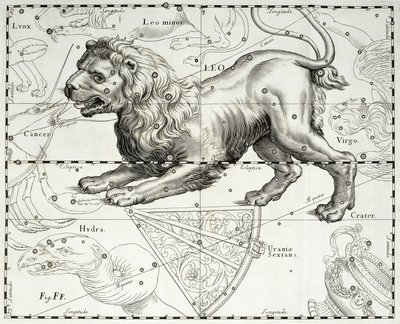 Leeuw, sterrenbeeld van de Leeuw, illustratie uit Johann Hevelius