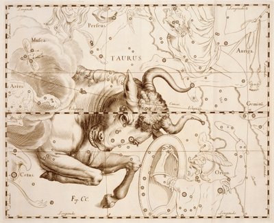 Stier (sterrenbeeld), gravure uit Firmamentum Sobiescianum sive Uranographia, volledige sterrencatalogus, door Johann Hevelius, gedrukt in Gdansk door Johannes Hevelius