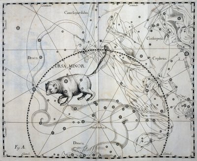 Kleine Beer, Boreale constellatie van de Kleine Beer, gravure uit sterrenatlas Firmamentum Sobiescianum sive Uronographia, door Johann Hevelius door Johannes Hevelius